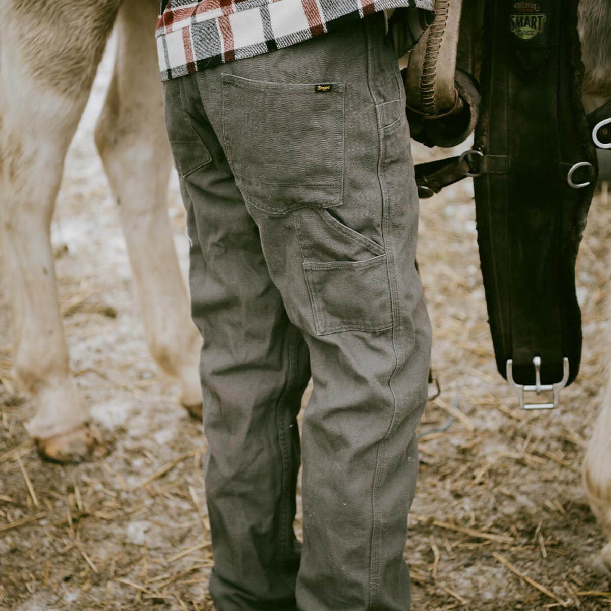 Bison Canvas Pant Darkwood