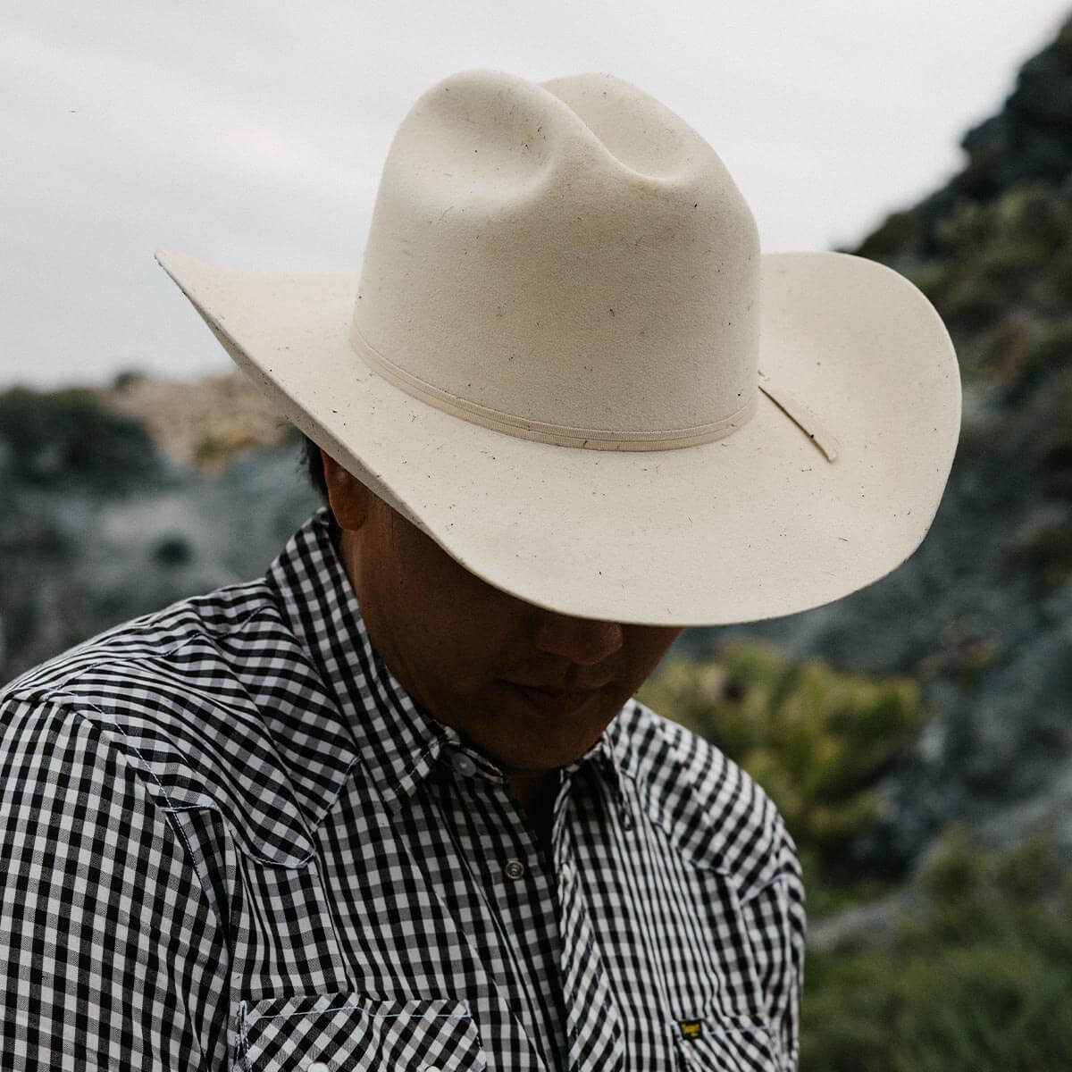 Longhorn 10X Hat Belly