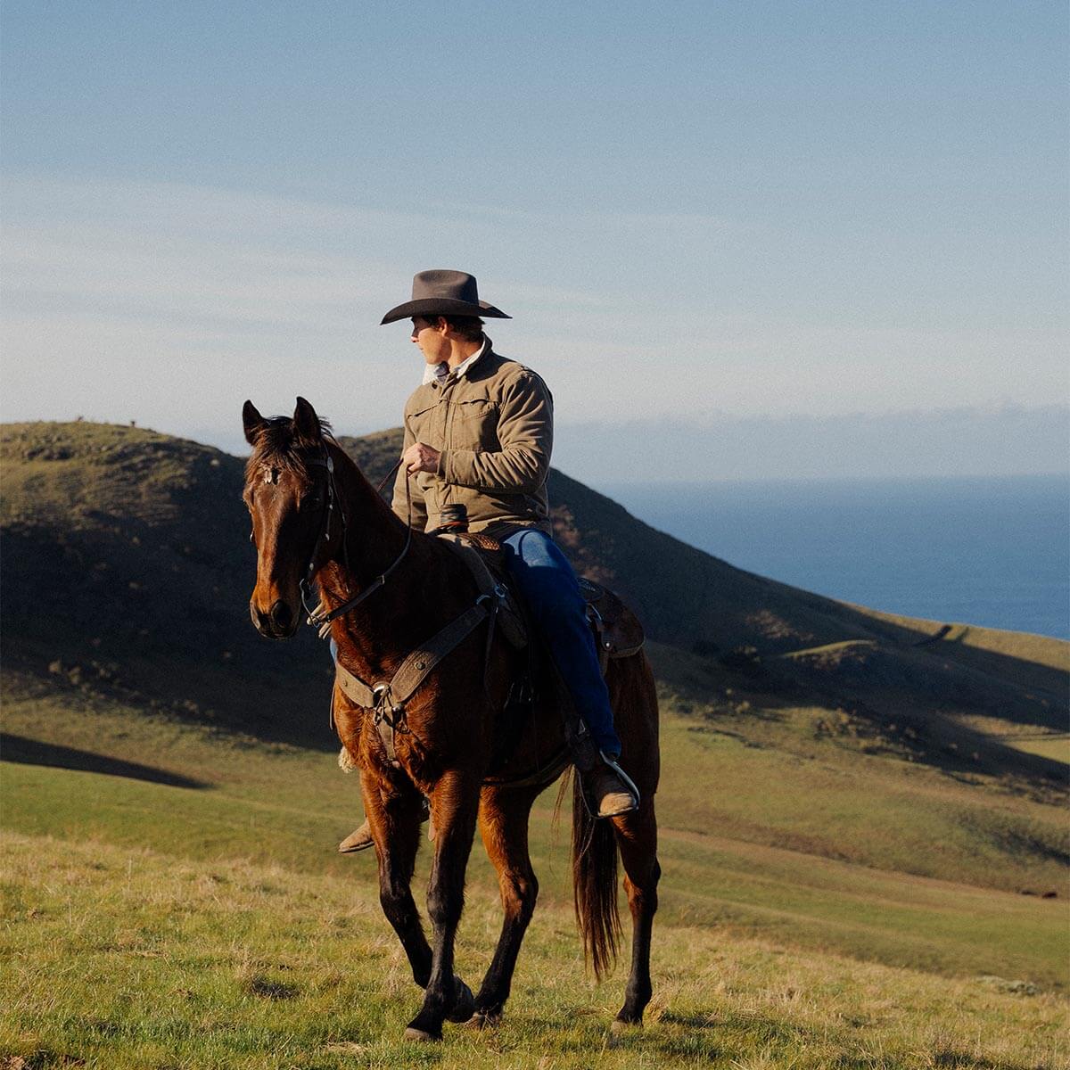 Longhorn 4X Hat Smoke