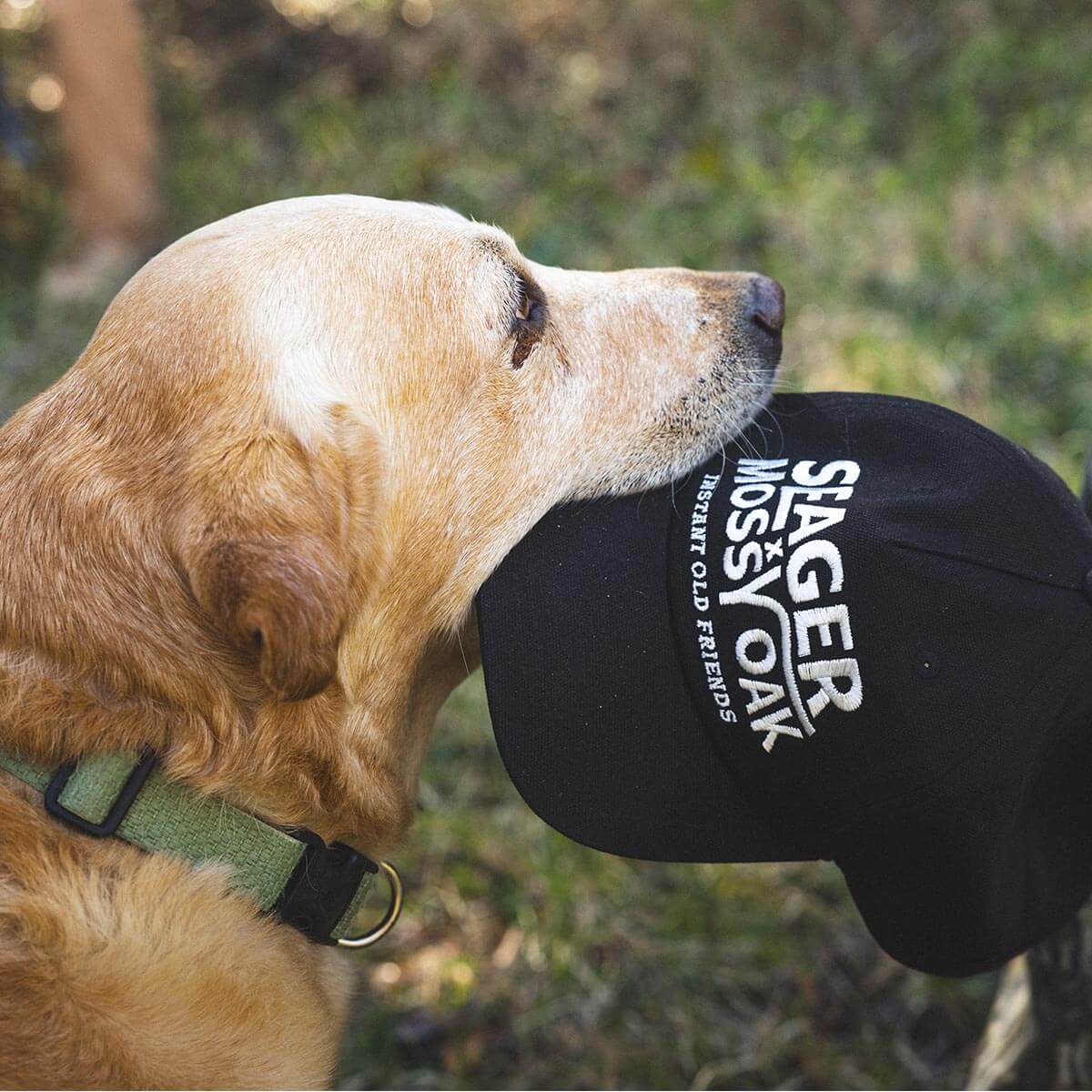 Seager x Mossy Oak I.O.F. Snapback Black