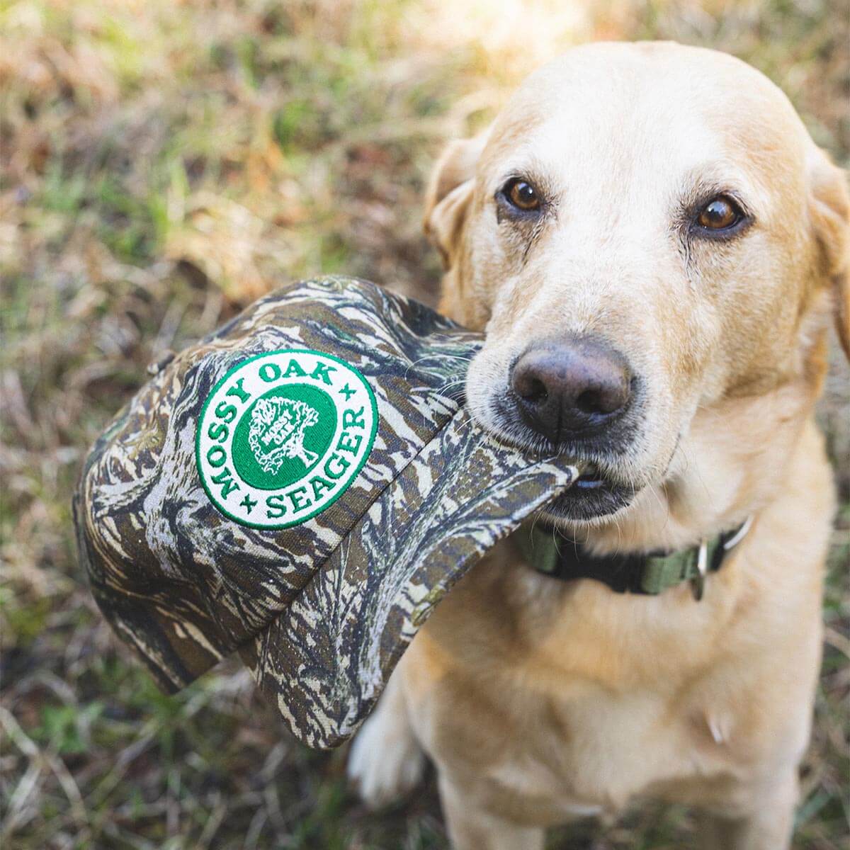 Seager x Mossy Oak Snapback Original Treestand