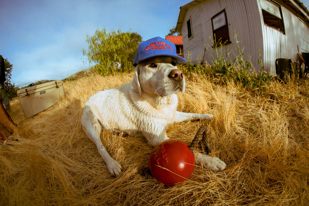 Western Classics Hemp Snapback Blue