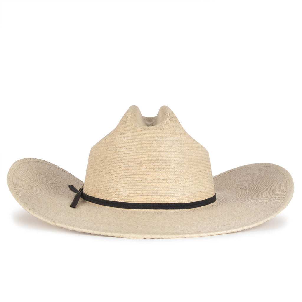 Longhorn Palm Hat